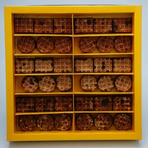 Nougatine Sweet Box abu dhabi